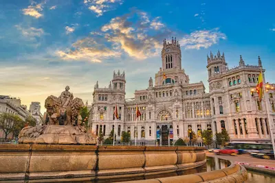 Madrid — Fractional CMO